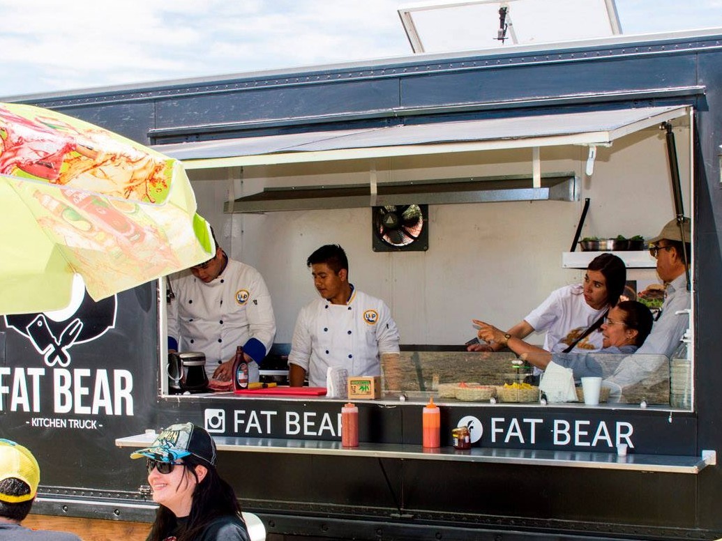 Fat Bear